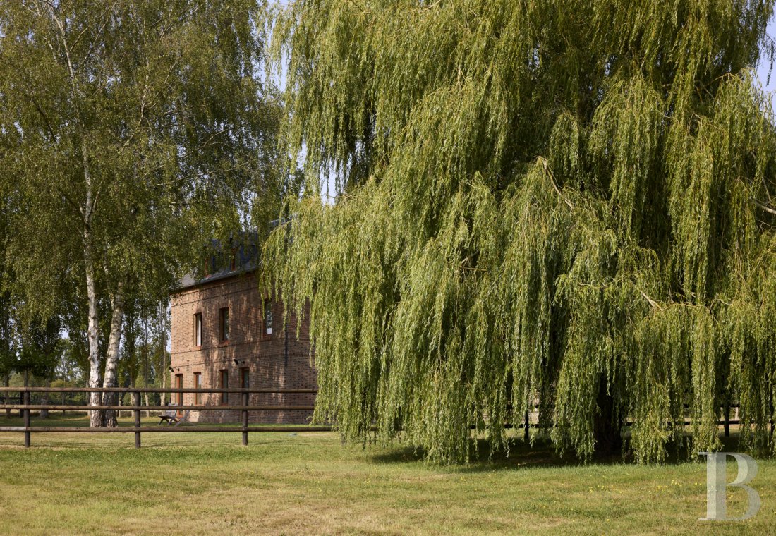 En Pays d’Auge, non loin de Lisieux, une ancienne ferme du 19e siècle transformée en paradis équestre - photo  n°22